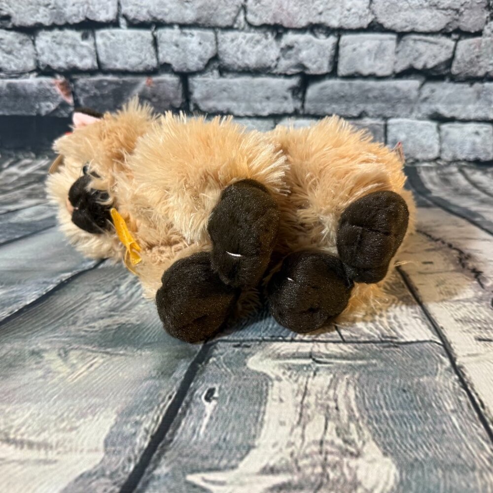 Vintage Ty Classic Beanie Babies 2005 "Cassidy" the Cat 8" Plush Toy - MWMT - Picture 6 of 12